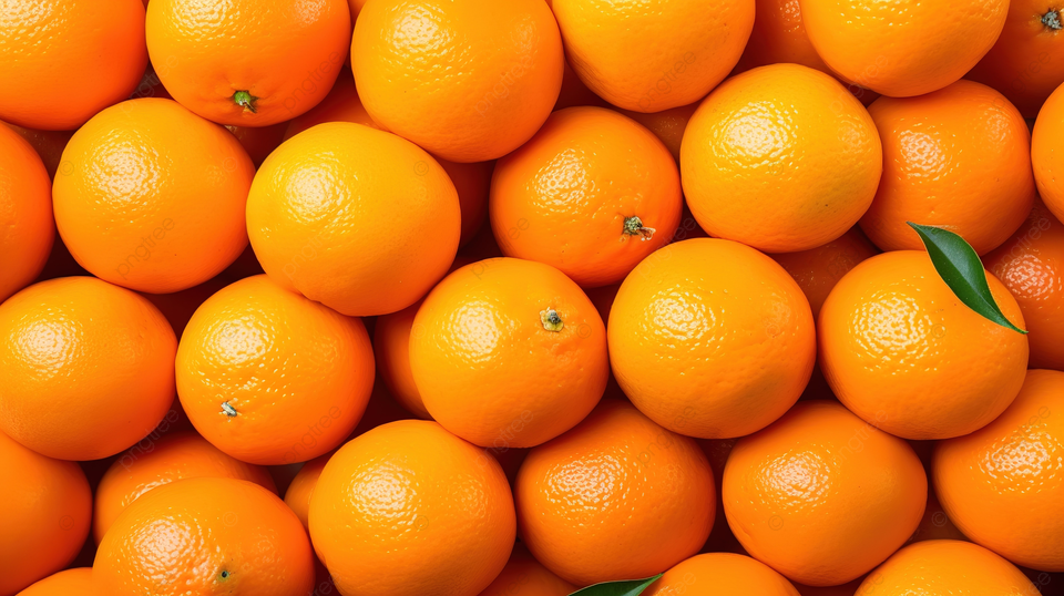 Forest trail - alternate